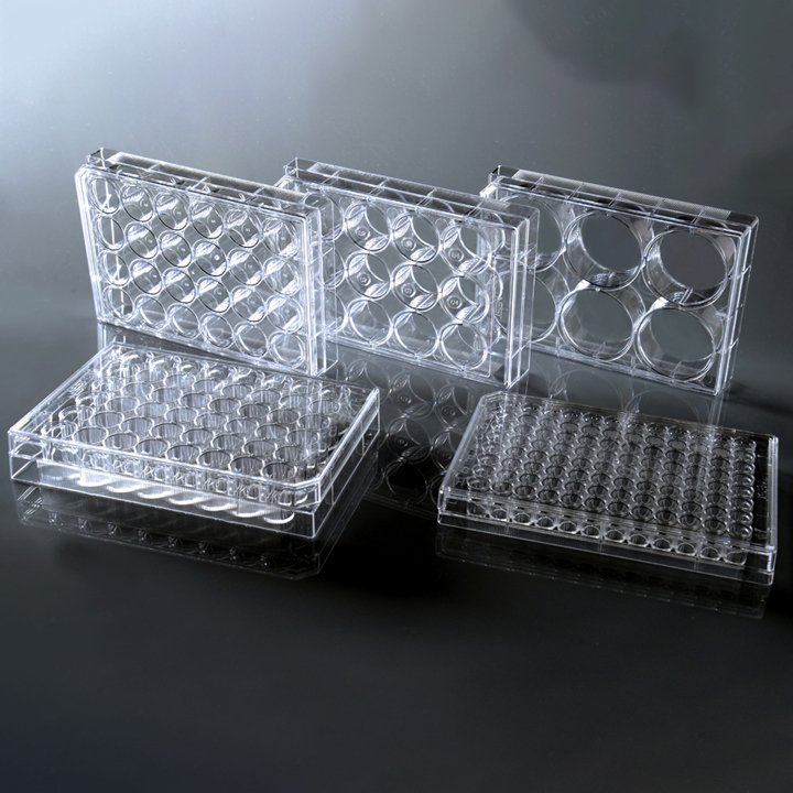 Cell Culture Plates